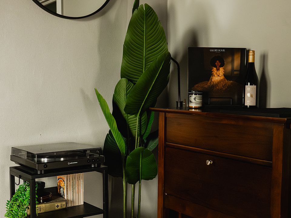 Bar corner with vinyl record player (bluetooth connected to soundbar)