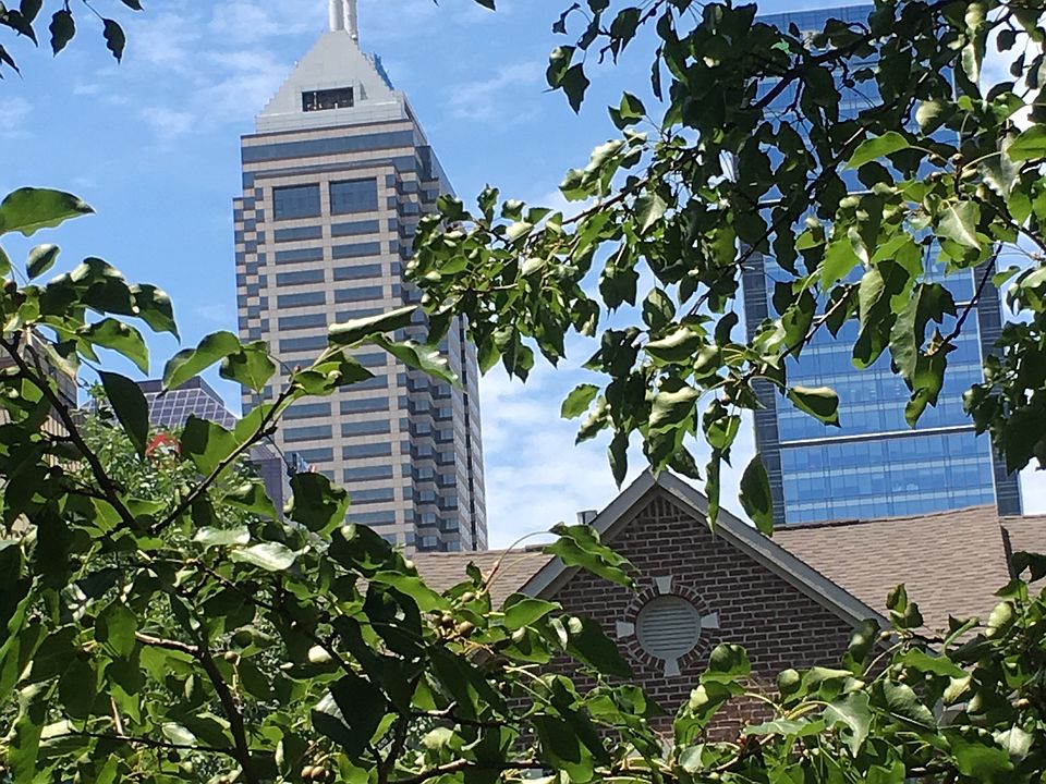 Downtown View