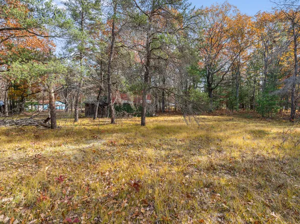 4565 Forest Trl, Indian River, MI 49749
