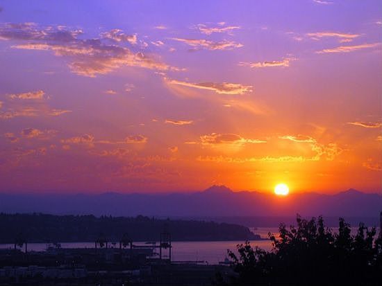 View from your living room!