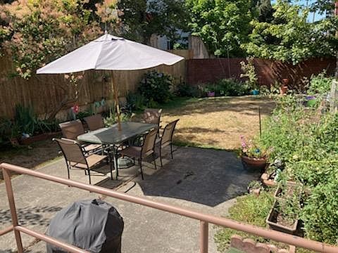 back yard