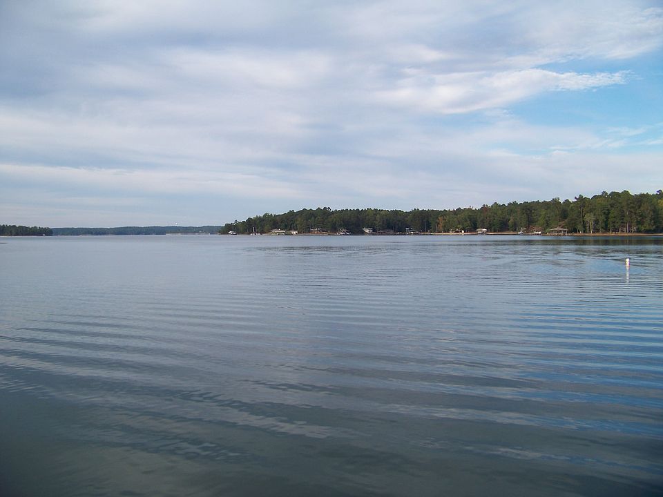 View from Yard
