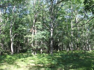 Seaman Rd, Wellston, MI 49689