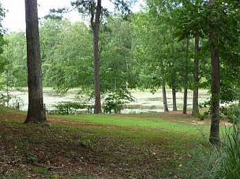 4th image of 351 Madeline Cir