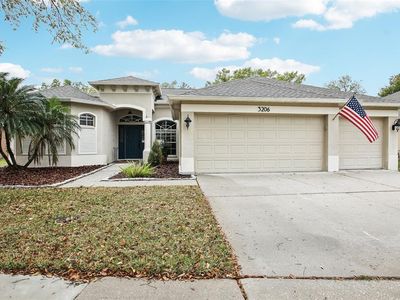 3206 Hurley Grove Way, Valrico, FL, 33596