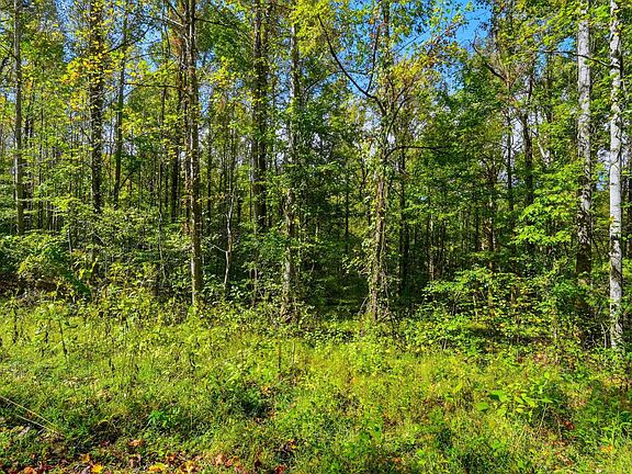 4th image of 0 Timber Lake Dr Lot 2