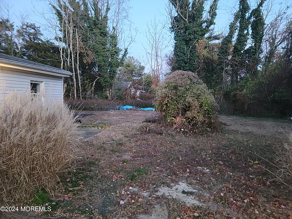 4th image of 4A Augusta Ave