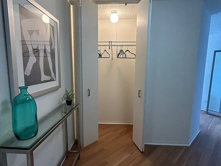 800 N Dearborn St #2310 — Photo 11