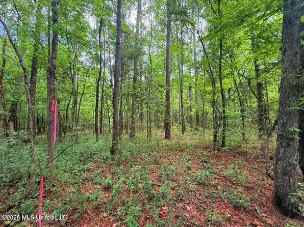 Highway 98 SW, Smithdale, MS 39664