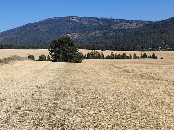 4th image of 8006 Jackson Rd