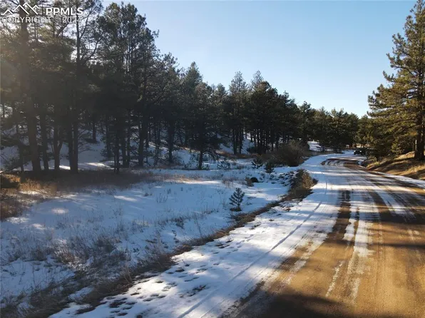 85 Wilson Dr, Florissant, CO 80816