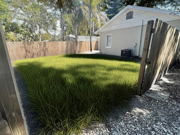 Spacious back yard