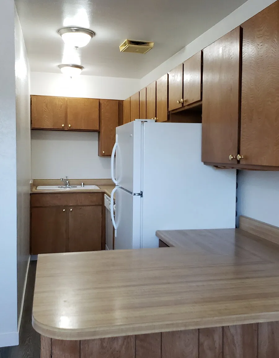 1 bed, 1.0 bath, 450 sqft, $1,200 — Photo 4