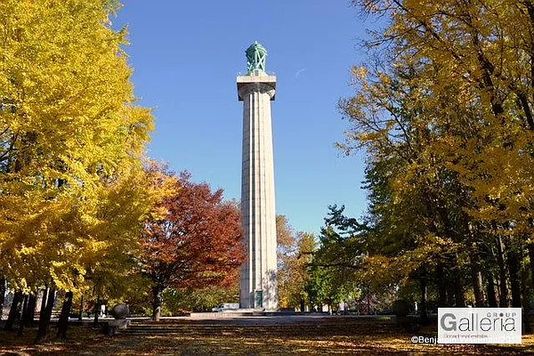 Rented by Galleria | media 17