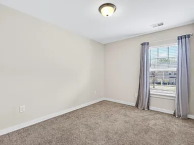 217 Button Willow St — Photo 19