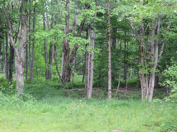 4th image of 20 Sherman Hill Dr