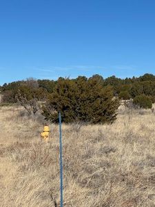 4 Straughan Ct, Sandia Park, NM, 87047