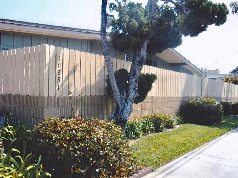 Village Pines — Photo 2
