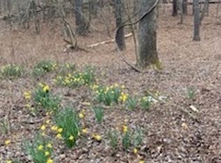 13 Legion Rd, Ellijay, GA 30540