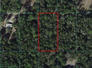 TRACT 69 SW 151st Pl, Dunnellon, FL 34432