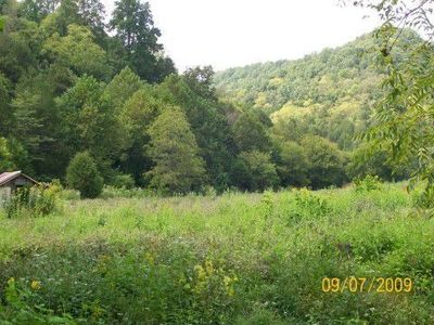 488 Webster Branch Ln, Whitleyville, TN, 38588