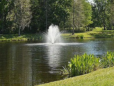 Community Pond