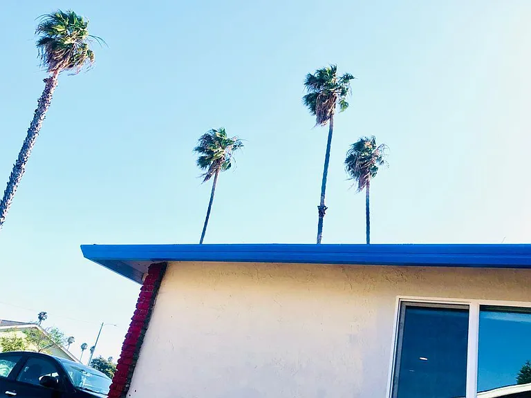 Coco Palm Dr — Photo 19