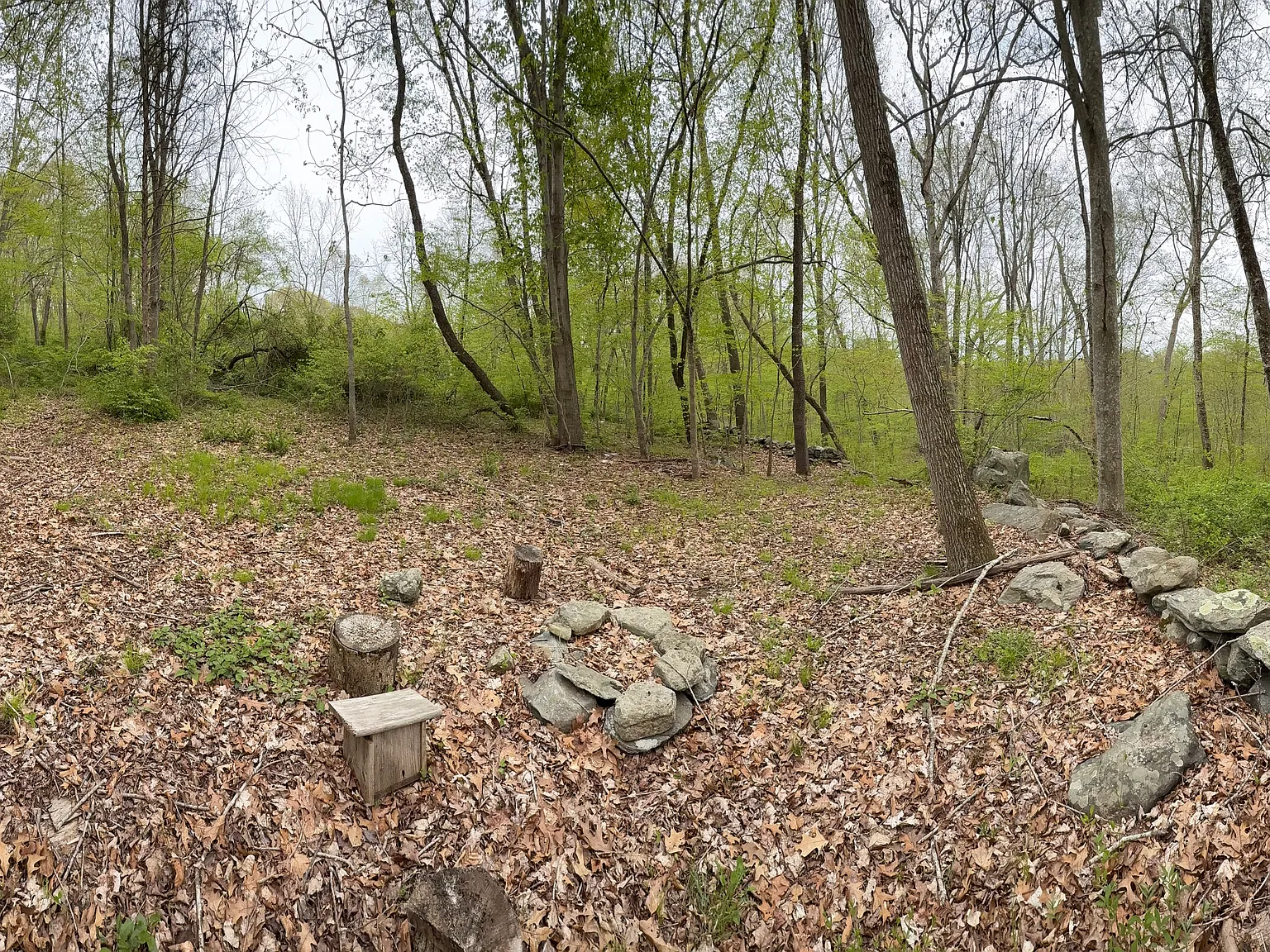 Shewville Rd, Ledyard — Photo 4