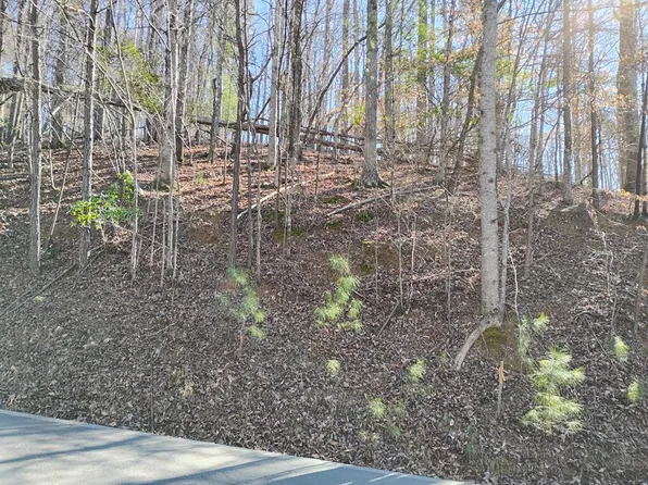 LOT-2090R Newport Dr Lot 2090R, Ellijay, GA 30540