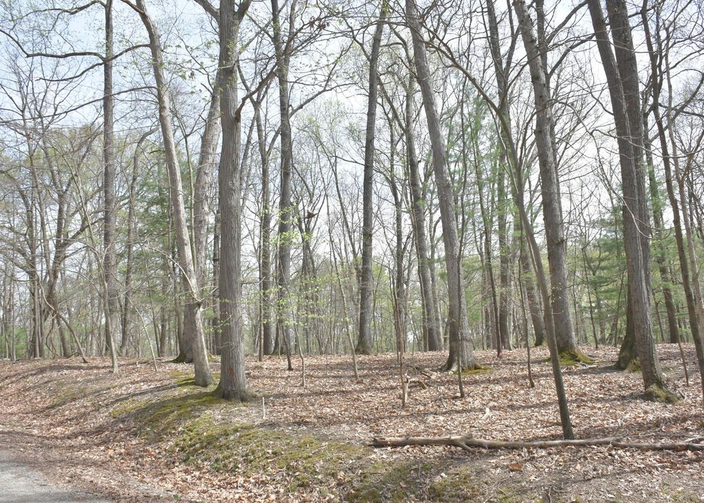 Real estate listing image