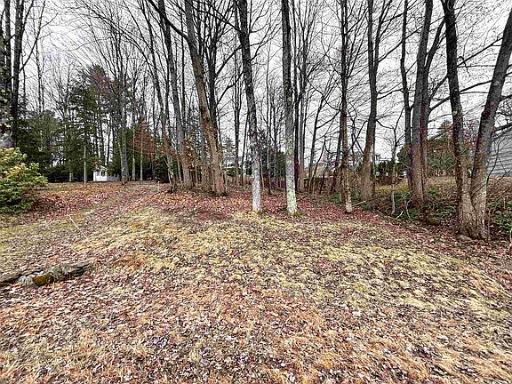 3rd image of 00 Terrace Road