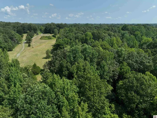 0 Chickasaw Bluff Rd, Benton, KY 42025