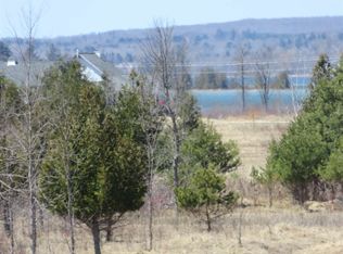 6790 Lora Bette Dr, Alanson, MI 49706