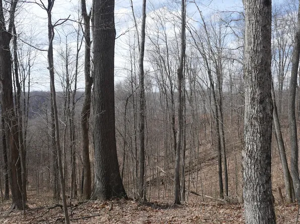 Reynolds Ridge Rd Lot Wp001, Bandy, VA 24602