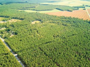 Hunts Bluff Rd LOT WP001, Bennettsville, SC 29512