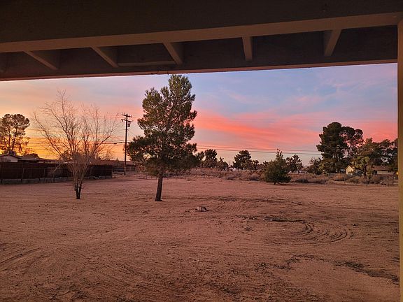 Back yard. property is 1 acre