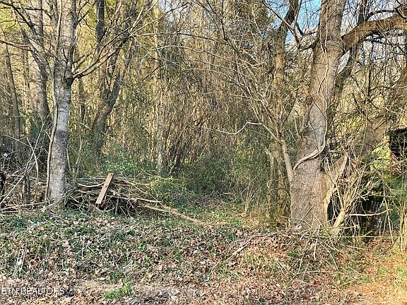 3rd image of Crowder Rd