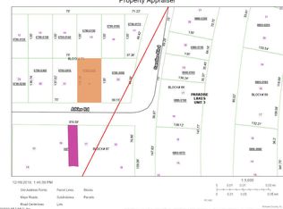 228 Atkins Rd, Georgetown, FL 32139