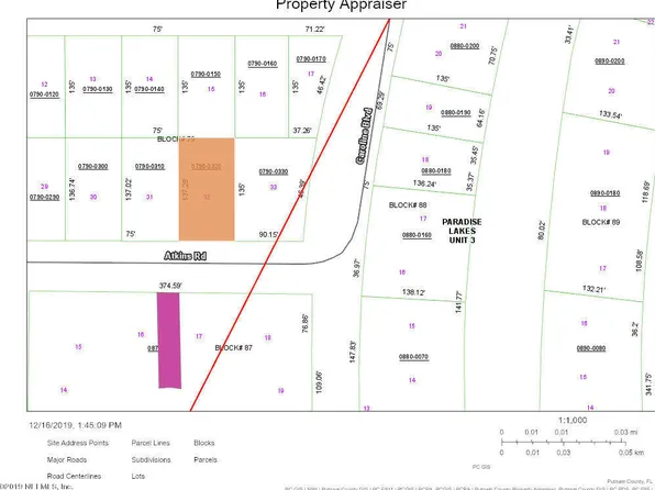 228 Atkins Rd, Georgetown, FL 32139