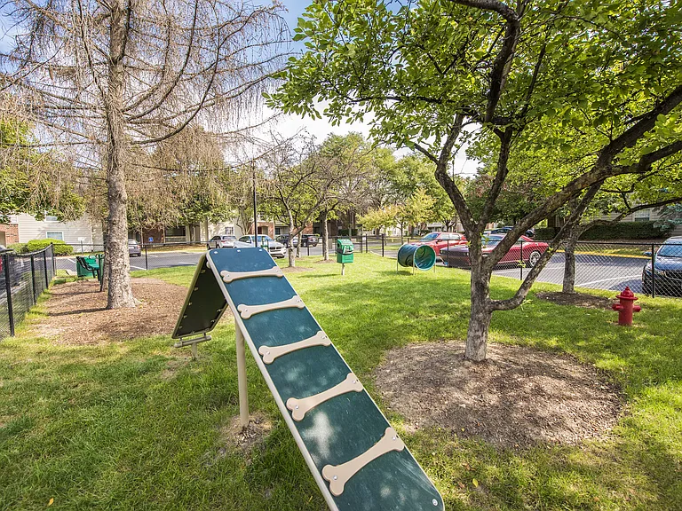 Martin's Point — Photo 11
