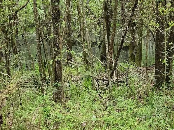 0 Benndale Rd, Brooklyn, MS 39425