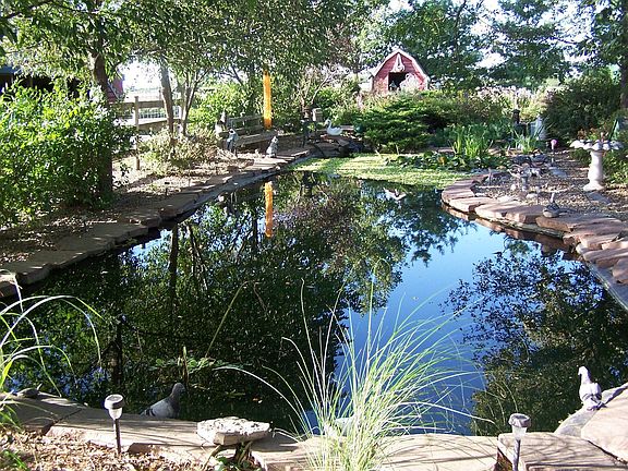 Big pond in the back yard 