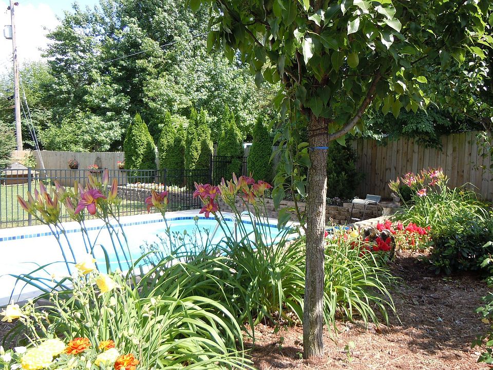 Pool and landscaping