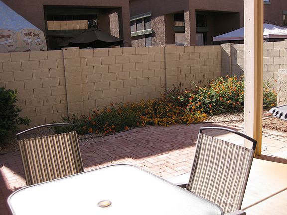 low maintenance backyard