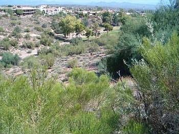 3rd image of 16518 E Nicklaus Dr