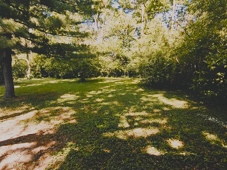 1819-1821 Kilkenny Ct #1 — Photo 8
