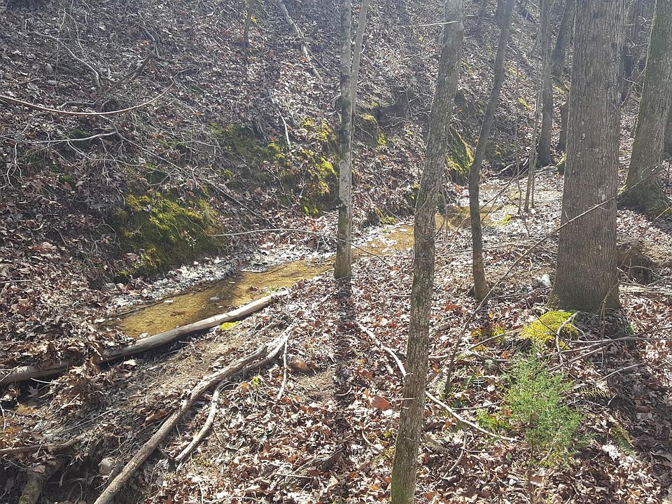 2nd image of 0 Powell Rd