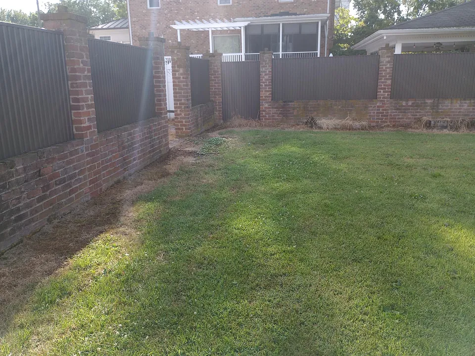 Back yard