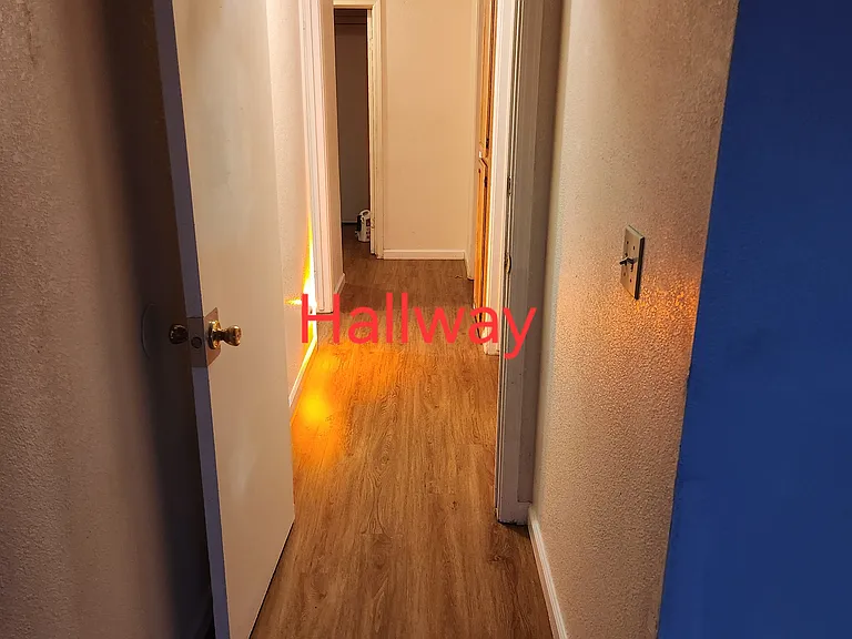 13 Canyon Tree Ct — Photo 13