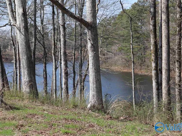 County Road 1464, Cullman, AL 35058